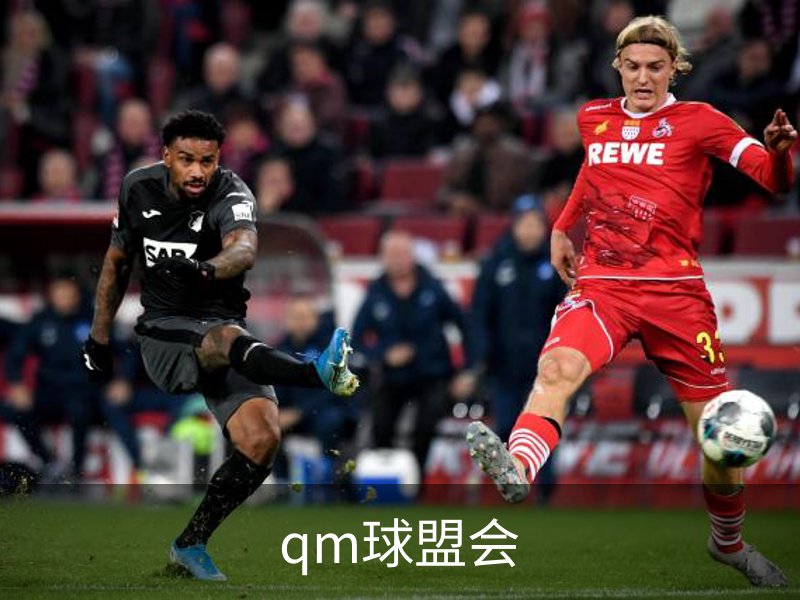关于qm球盟会